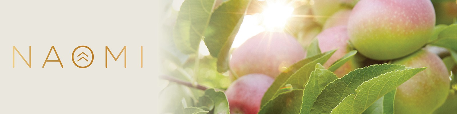 thumbnail_Brand Image banner R47.jpg